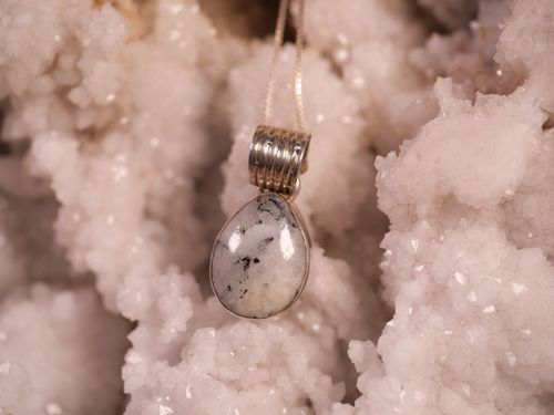 White Buffalo Pendant Necklace